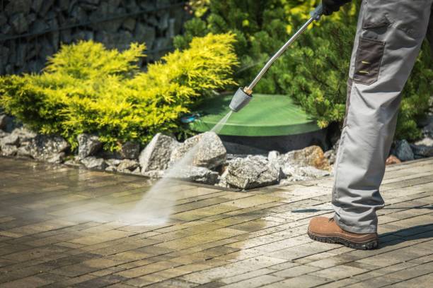 Best Soft Washing  in Suamico, WI
