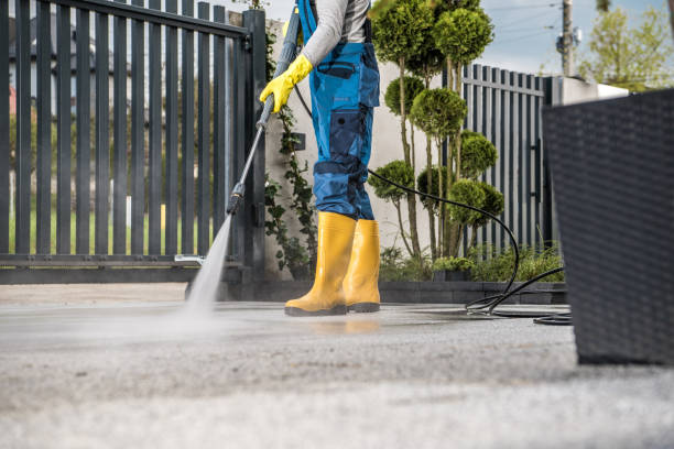 Best Fence Cleaning  in Suamico, WI